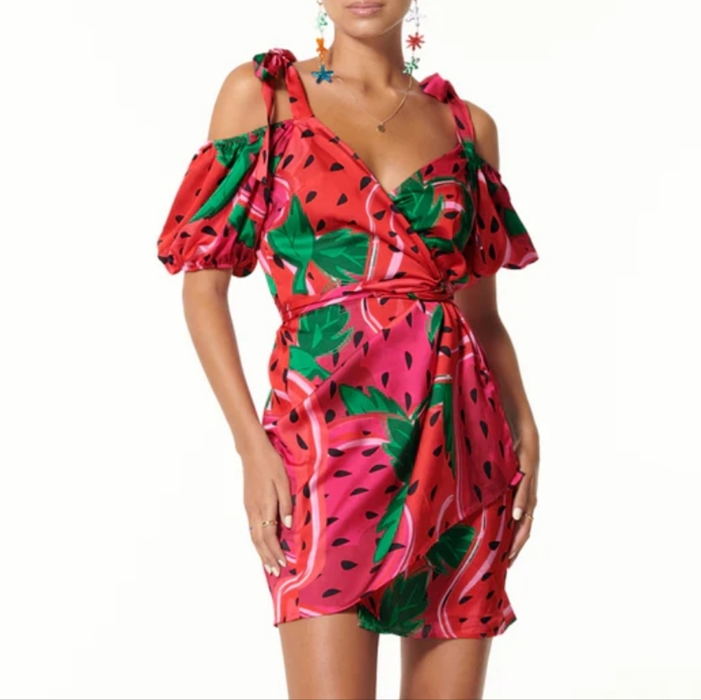 NWT Never Fully Dressed strawberry mini wrap dress
